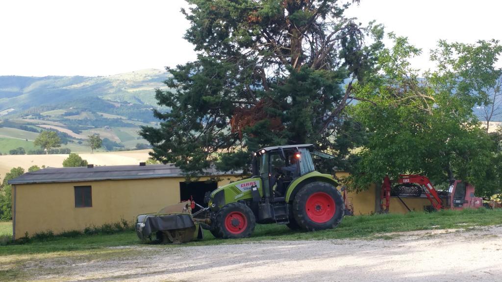 Pietra Maula Agriturismo Castelraimondo Dış mekan fotoğraf