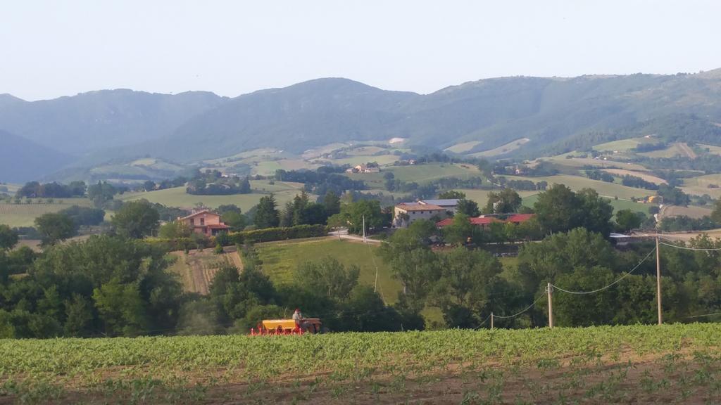 Pietra Maula Agriturismo Castelraimondo Dış mekan fotoğraf