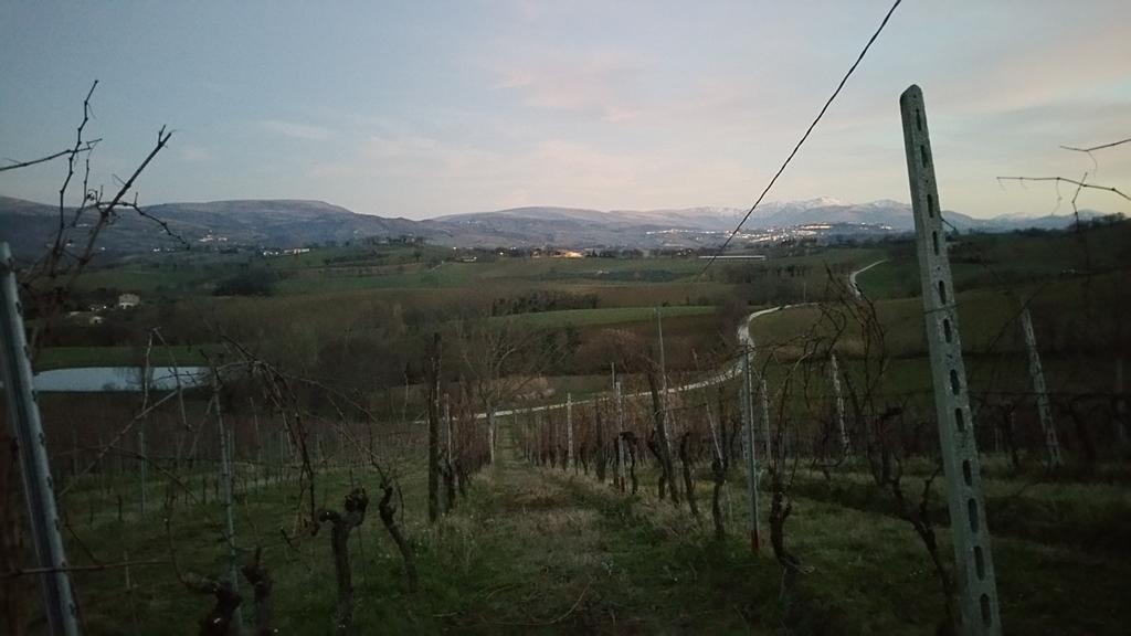 Pietra Maula Agriturismo Castelraimondo Dış mekan fotoğraf