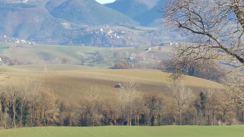 Pietra Maula Agriturismo Castelraimondo Dış mekan fotoğraf