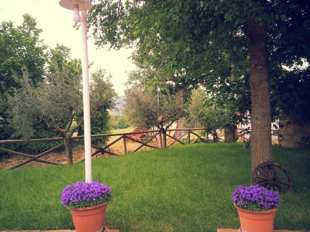 Pietra Maula Agriturismo Castelraimondo Dış mekan fotoğraf