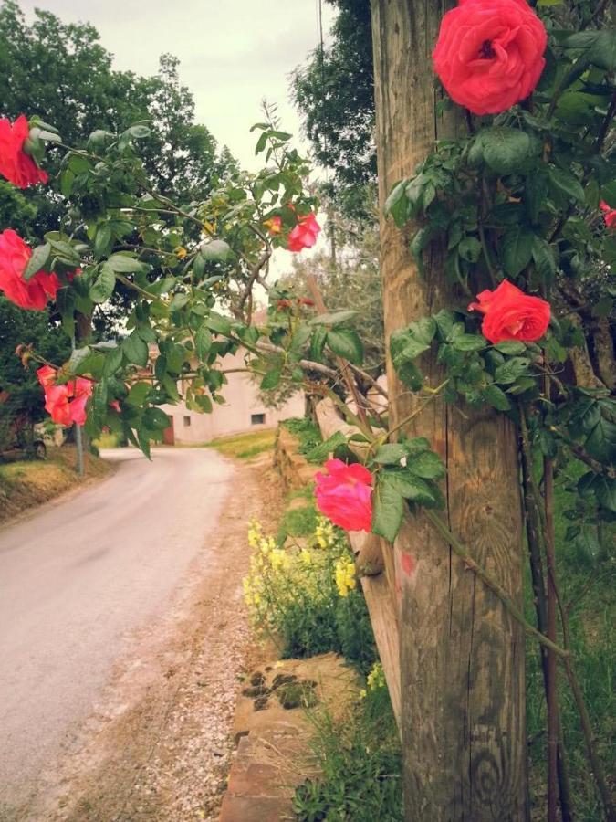 Pietra Maula Agriturismo Castelraimondo Dış mekan fotoğraf